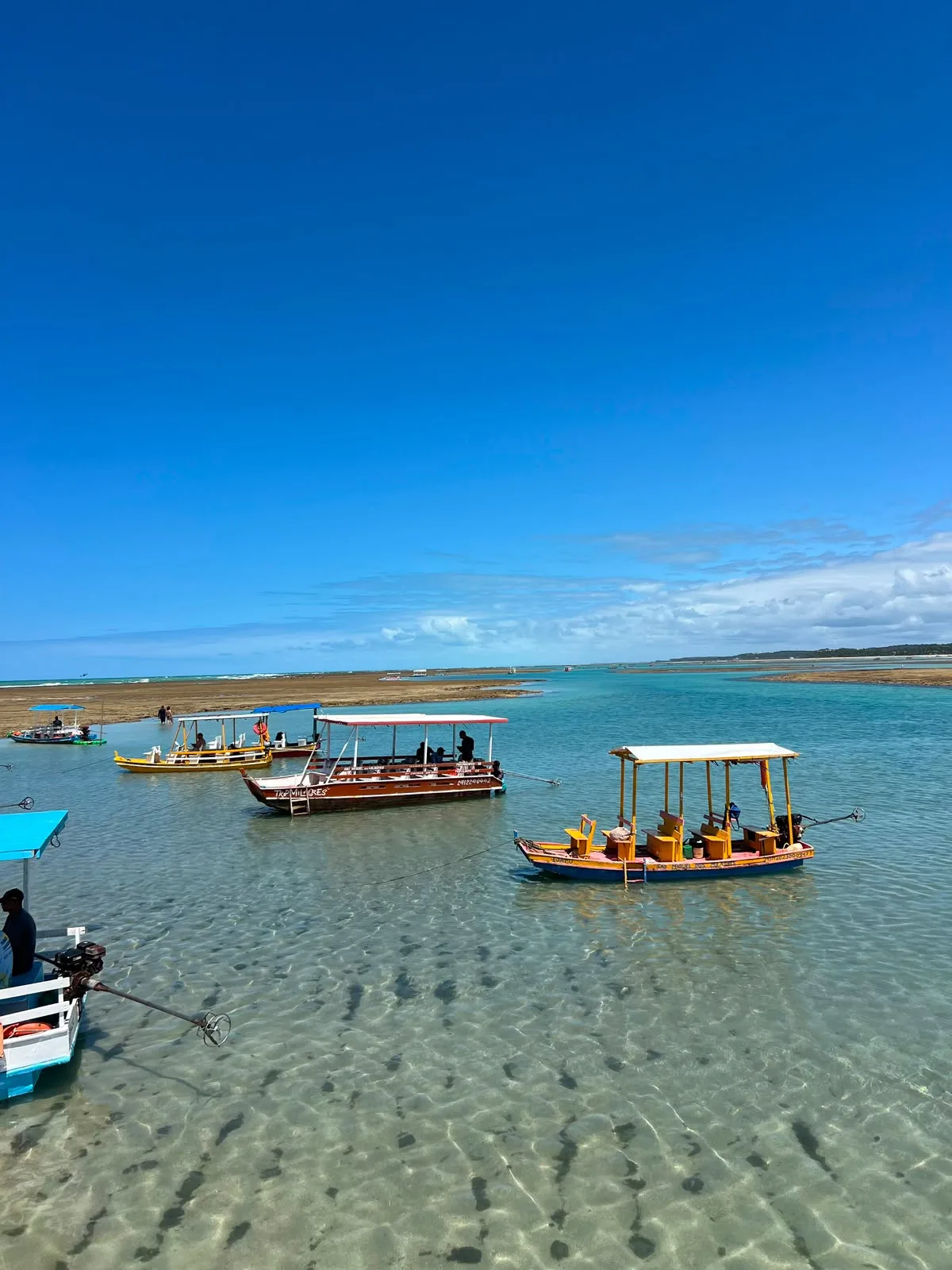 Jangadas coloridas nas piscinas naturais de São Miguel dos Milagres
