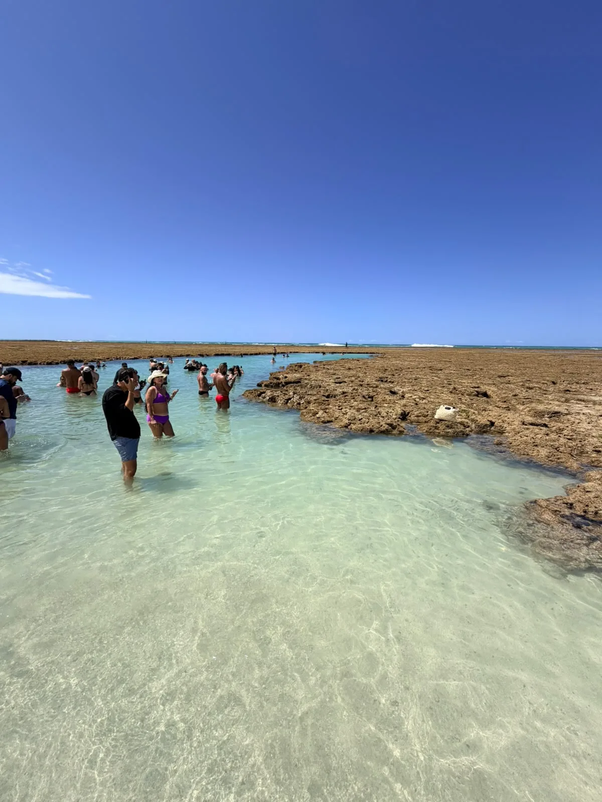 Piscinas naturais de São Miguel dos Milagres na maré baixa, com os recifes aflorando