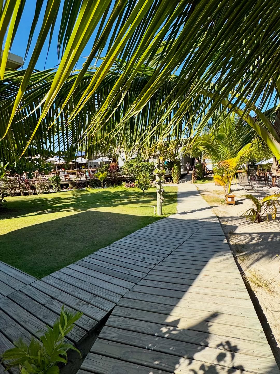 Hibiscus Beach Club