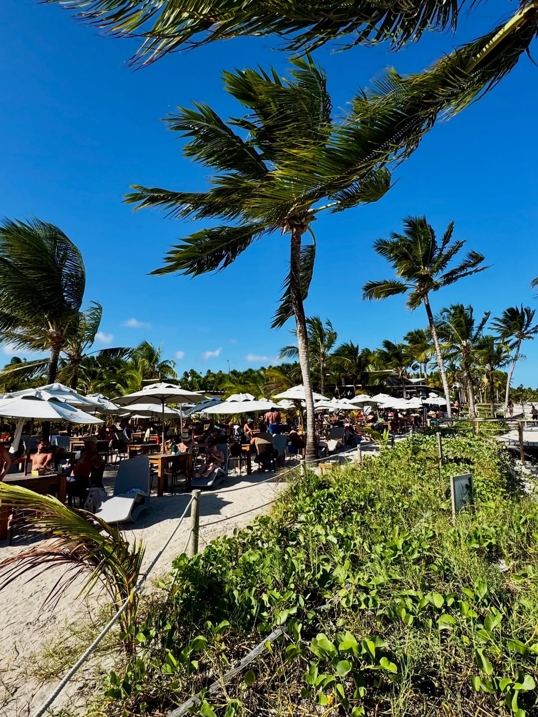 Hibiscus Beach Club