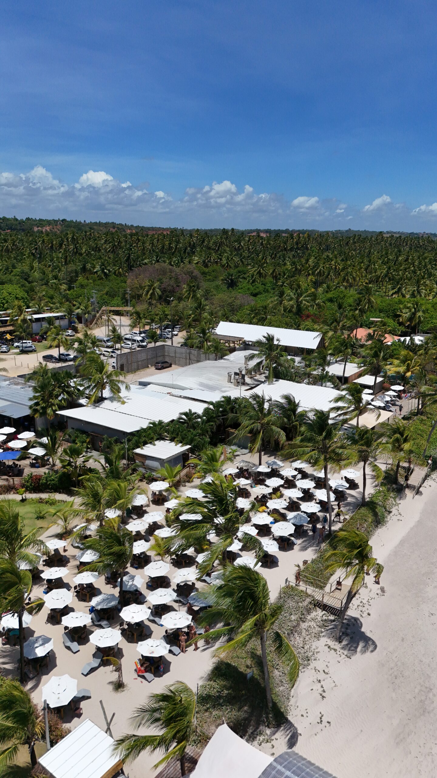 Hibiscus Beach Club